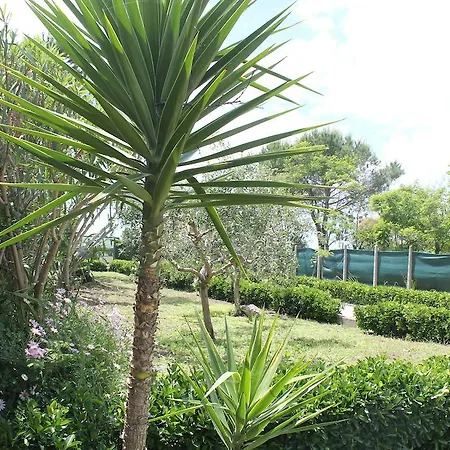 Oda ve Kahvaltı Rifa Gaeta