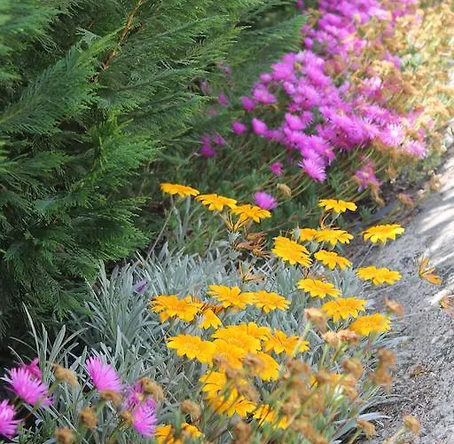 Bed & Breakfast Rifa