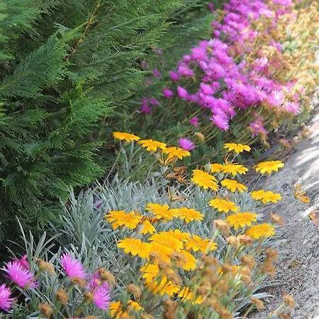 Bed & Breakfast Rifa